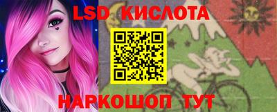 гидра Новодвинск
