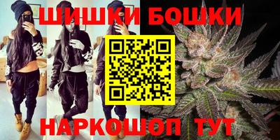 гидра Новодвинск
