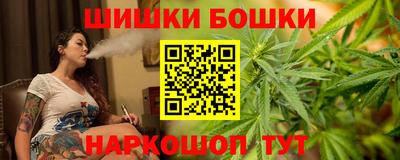 гидра Новодвинск