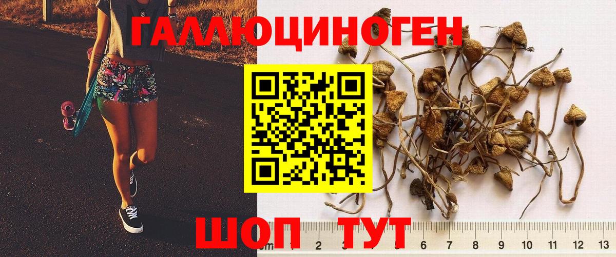 Галлюциногенные грибы ЛСД Тулун